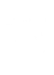 Aros Inc - Satamini 12 - logo branca